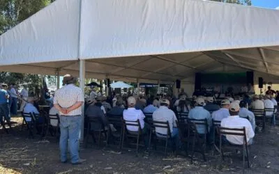 ADP Visión 2026 reunió a más de 200 participantes en Dolores.