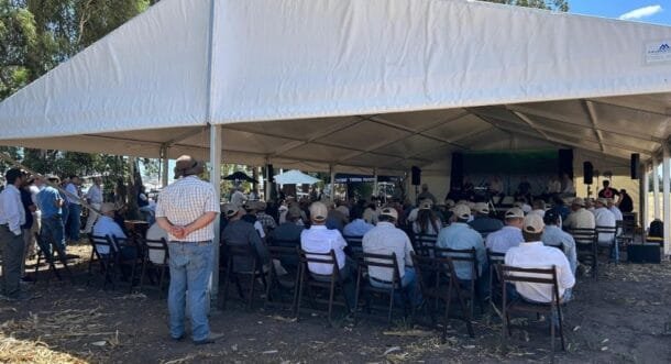 Más de 200 técnicos y productores se reunieron en Dolores para redefinir la agronomía del año