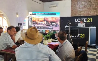 Angus 21 colocó el 100% de la oferta.