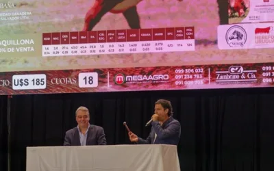 Rematazo de Madres de Punta.