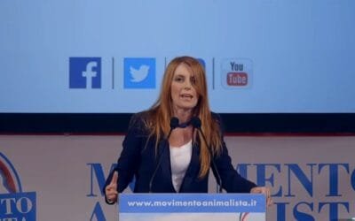 En Italia, proyecto de ley considera mascotas a los caballos prohibiendo su consumo.