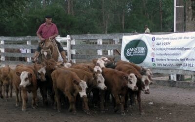 Mercado del Campanero no aflojó pese a las contingencias climáticas.