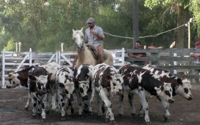 Pista del Campanero mostró un mercado muy animado y con destacados valores