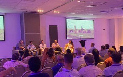 Director de Servicios Ganaderos: “La garrapata no es un problema nuevo, es un problema estructural”.