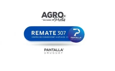 El viernes Pantalla Uruguay rematará más de 7.000 vacunos, en Agro en Punta.