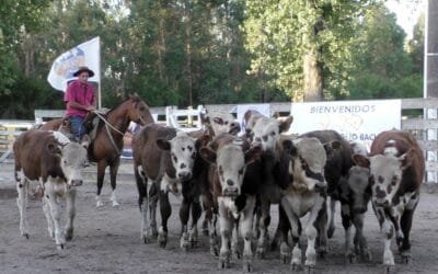 Con Leonardo Ruglio Bachino, Campanero mostró agilidad y valores muy destacados.