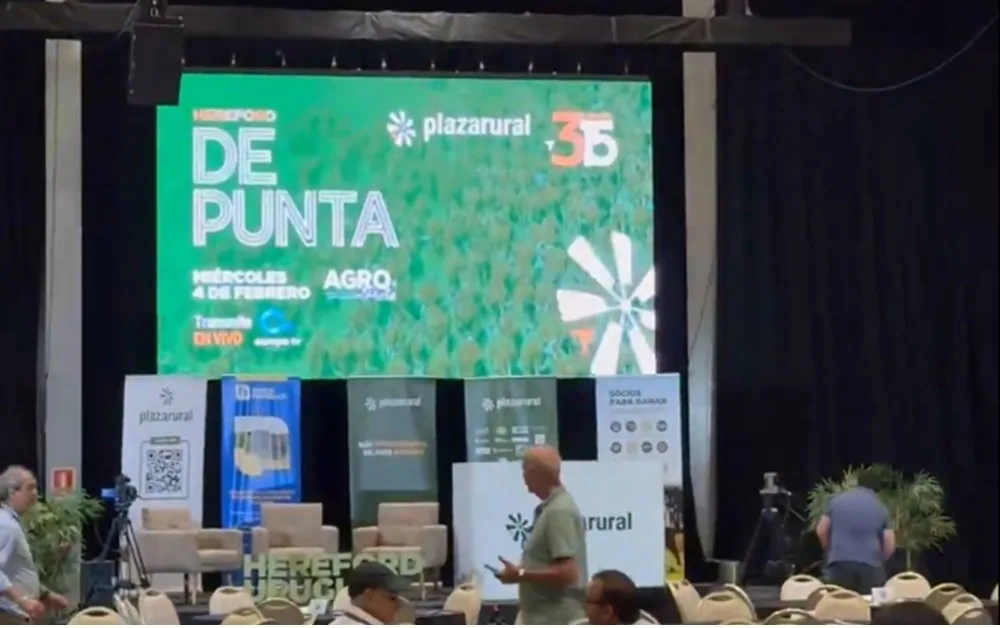 Ventas totales de Hereford de Punta con Plaza Rural.