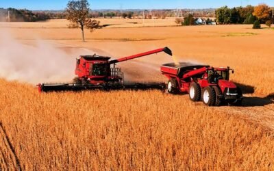 Cosecha de soja de Brasil se acerca al 73%, sigue por debajo de la del año pasado