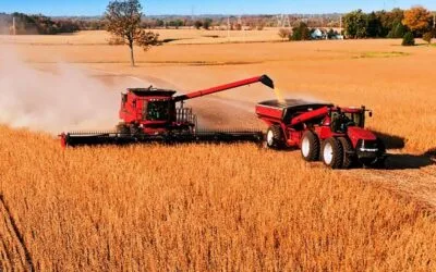 Cosecha de soja de Brasil se acerca al 73%, sigue por debajo de la del año pasado
