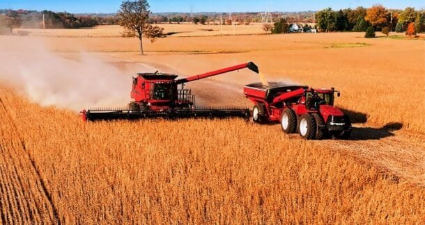 Brasil lleva cosechado el 73% de la soja: avanza bien pero sigue rezagada respecto al año pasado