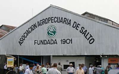 Salto se prepara para recibir al congreso de Federación Rural