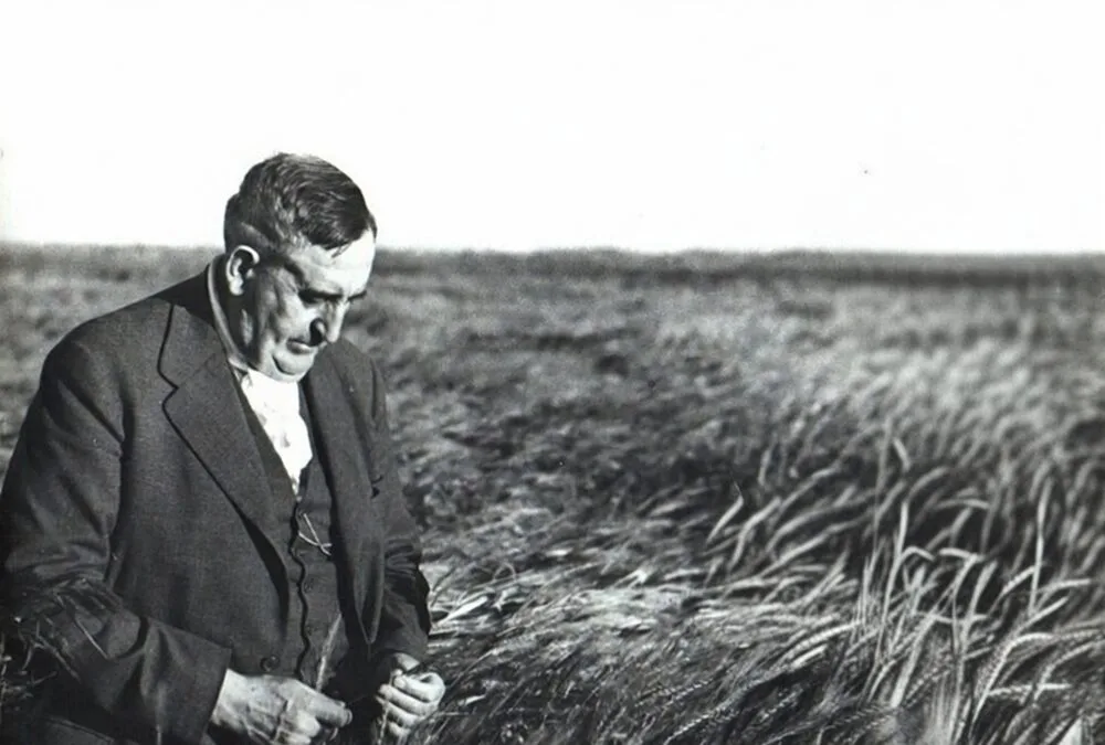 El 5 de marzo Uruguay celebra, por primera vez el Día Nacional del Fitomejoramiento.