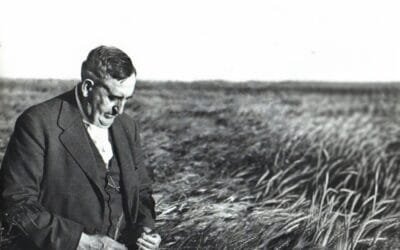 El 5 de marzo Uruguay celebra, por primera vez el Día Nacional del Fitomejoramiento.