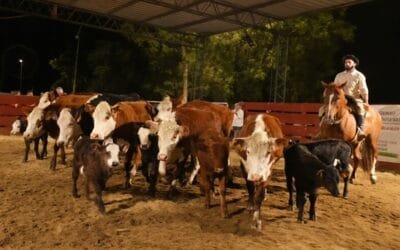 Aguas y calidad de los ganados levantaron los promedios en Cañada Bellaca.