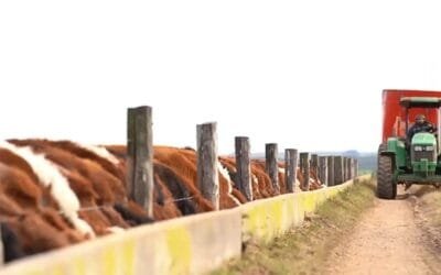 ACG: Con demanda retraída, nueva baja en los valores.