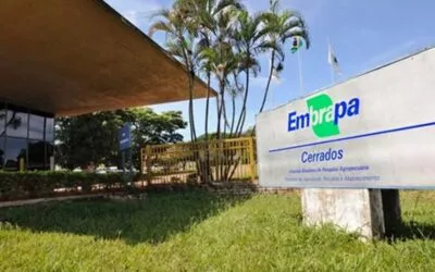 Invertir en ciencia e innovación hace la diferencia productiva.