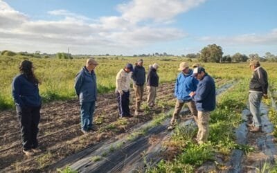 5 de marzo fue el Día Nacional del Fitomejoramiento.