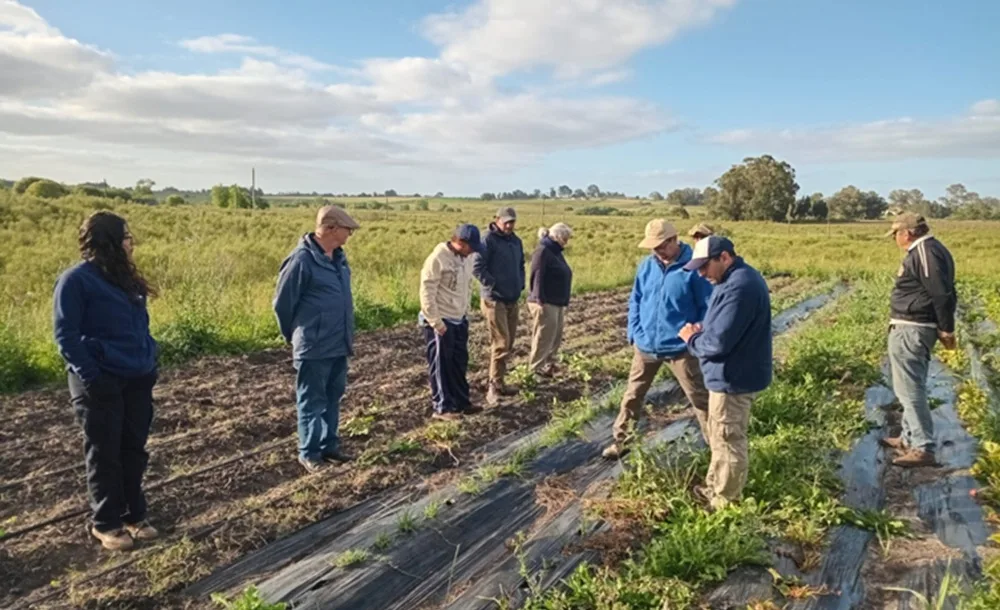5 de marzo fue el Día Nacional del Fitomejoramiento.