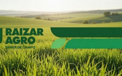 Raizar Agro, la alianza estratégica entre Agroenfoque, Lanafíl y Procampo.