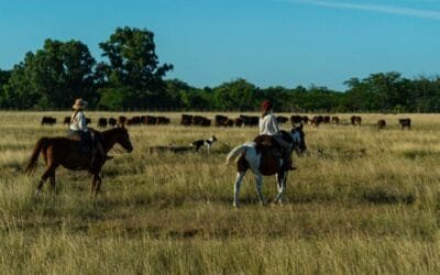 Las mujeres están ampliando su participación y ámbitos de decisión en la cadena cárnica.
