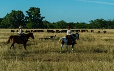 Las mujeres están ampliando su participación y ámbitos de decisión en la cadena cárnica.