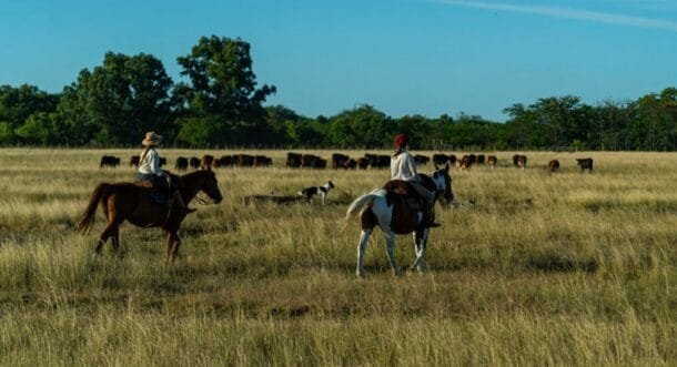 Una de cada tres personas que trabaja en ganadería es mujer, y su participación no para de crecer