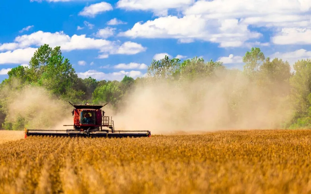 Incertidumbre global genera alertas en el agro paraguayo
