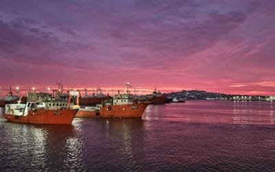 ¿Qué hacer para que la pesca exprese todo su potencial productivo y económico?