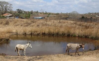 América Latina y el Caribe se está volviendo más cálida y más seca.