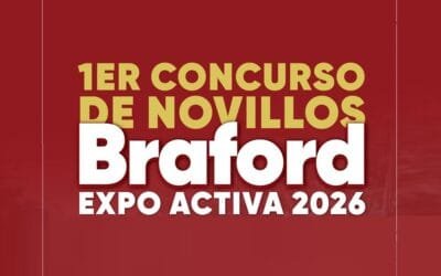 Primer concurso de novillos Braford, será en Expo Activa.