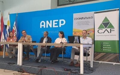 ANEP incorpora herramienta lúdica escolar creada por CAF.
