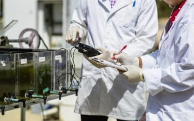 ANII e INIA fortalecen las becas de posgrado nacionales en líneas estratégicas agropecuarias.