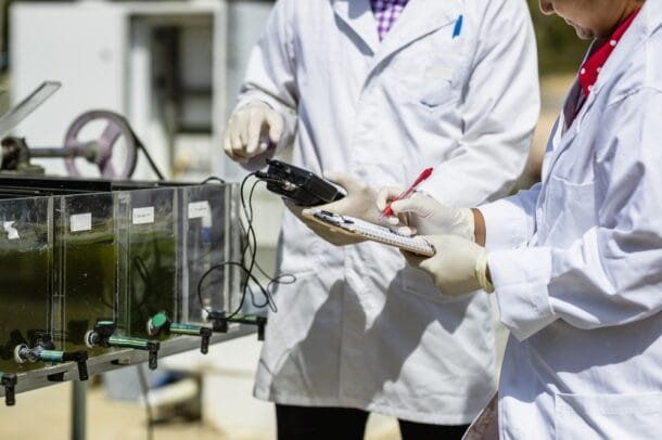 ANII e INIA financiarán 45 maestrías y 12 doctorados en áreas clave del agro