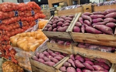 La plaza ofrece mayor oferta de boniatos y zapallos.