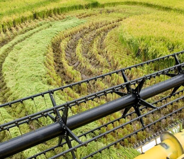 Arroz: la cosecha supera el tercio del área pese a las precipitaciones