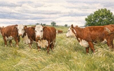 Montossi: “En Uruguay es posible entorar a los 14 o 15 meses”.