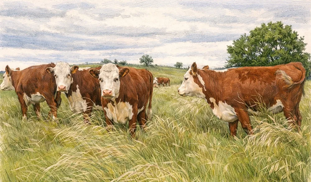 Montossi: “En Uruguay es posible entorar a los 14 o 15 meses”.