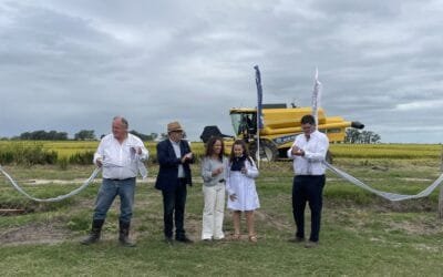 Fratti: el arroz genera empleos y moviliza economías regionales.