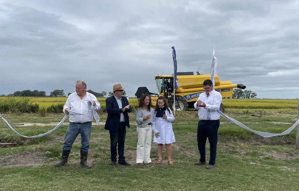 Fratti: el arroz genera empleos y moviliza economías regionales.