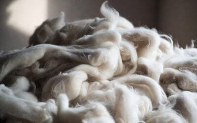 Mercado local de lana: lotes Merino van de US$ 6,20 a US$ 6,50/kg.