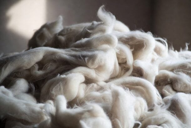 La diferencia entre cobrar US$ 1,70 o US$ 6,50 por kilo de lana se llama acondicionamiento