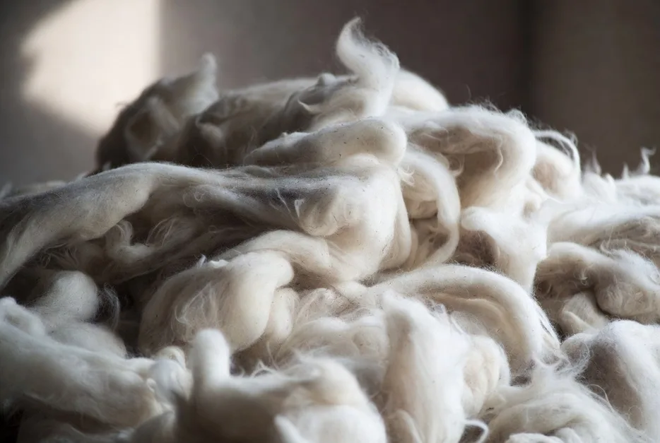 Mercado local de lana: lotes Merino van de US$ 6,20 a US$ 6,50/kg.