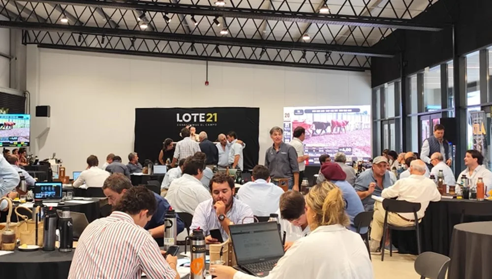 Con ajuste en los vientres, Lote 21 concretó el remate 244.