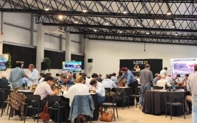 Los terneros hasta 140 k subieron 16,3% en el remate de Lote 21, que sigue hoy.