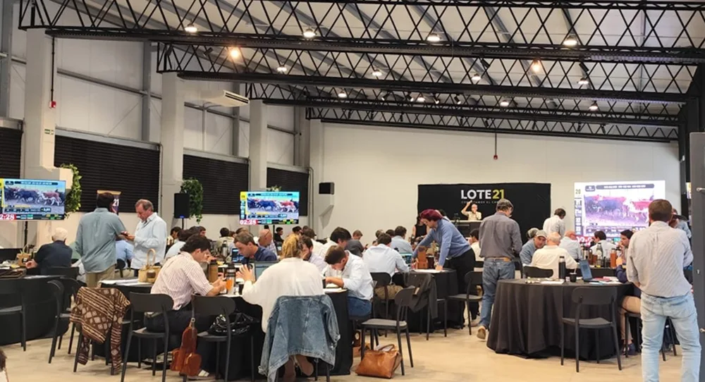 Los terneros hasta 140 k subieron 16,3% en el remate de Lote 21, que sigue hoy.