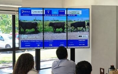 Con el 95,63% de ventas, Pantalla Uruguay cerró el remate 310.