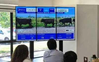 Con el 95,63% de ventas, Pantalla Uruguay cerró el remate 310.