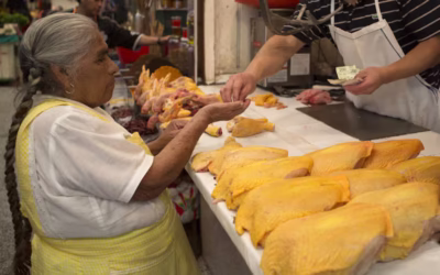 Gran producción de carne aviar en México