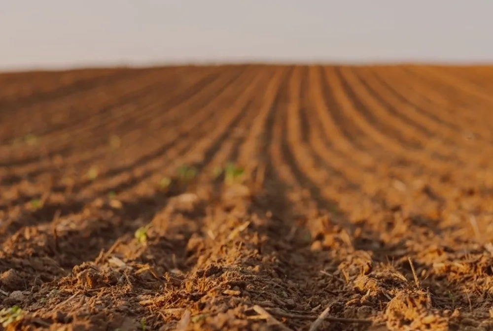 Encalado: una necesidad productiva que puede aumentar el PBI en 0,5% y crear más de mil empleos.