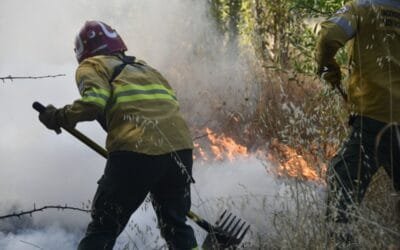 En el sur de América del Sur hubo un fuerte aumento de condiciones que favorecen los incendios forestales y de campo.
